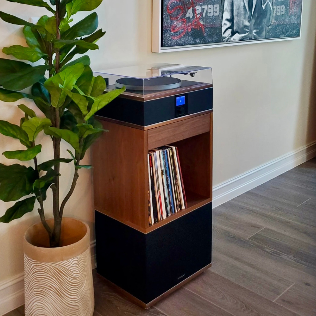 BEST ALL IN ONE RECORD PLAYER WITH SPEAKERS